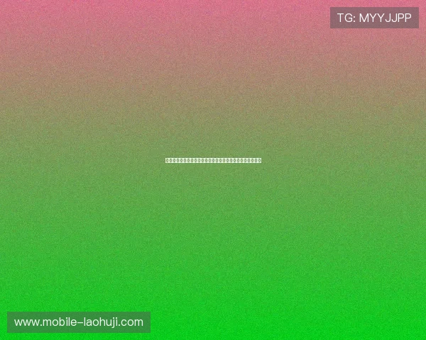 寻宝黄金城官网用户评价与反馈汇总真实玩家体验分享与建议