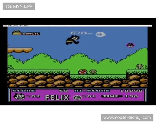 全面收录最受欢迎的经典fc游戏大全，带你重温童年经典游戏的精彩瞬间